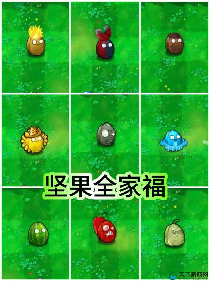 植物大战僵尸杂交版套盒坚果怎么样：深度解析与全面评测
