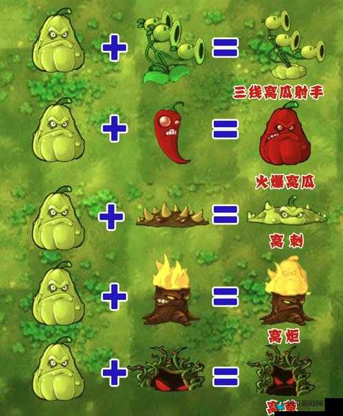 绿巨人秋葵芭乐榴莲丝瓜：神奇蔬果的奇妙组合与独特魅力