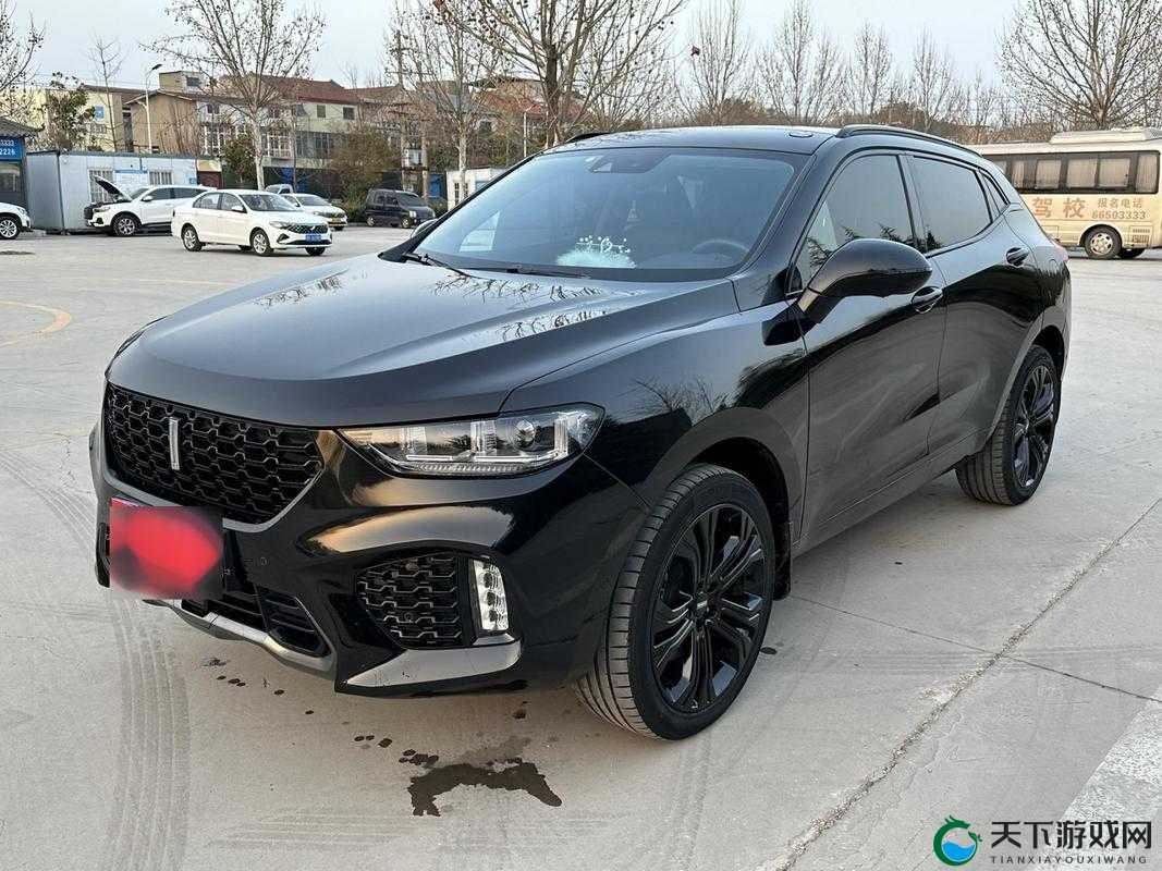 Wey-VV5 国产的 SUV:畅享极致驾驭体验的卓越之选