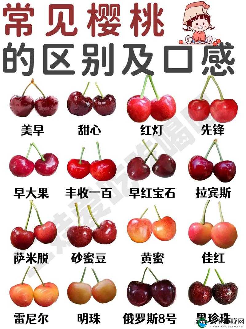 黄蜜大樱桃跟红蜜的区别到底在哪里有哪些方面不同呢