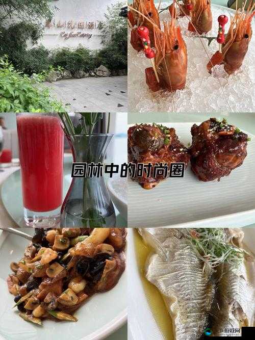 笑傲江湖中的美食与厨艺，一场味蕾与江湖的盛宴