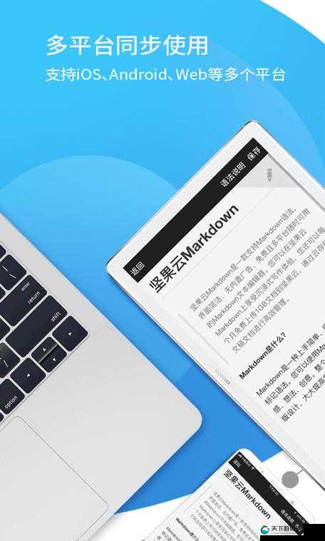 成品网源码 78W78：探索其背后的神秘编程世界