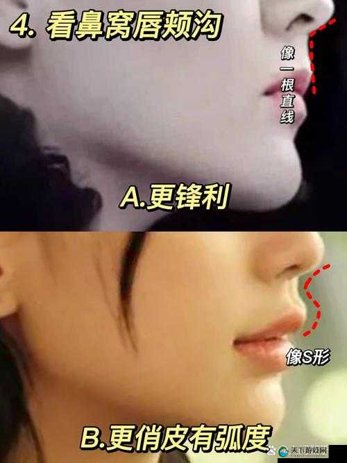 欧美人嘴巴更大还是更小-关于欧美人嘴巴大小的探讨与分析