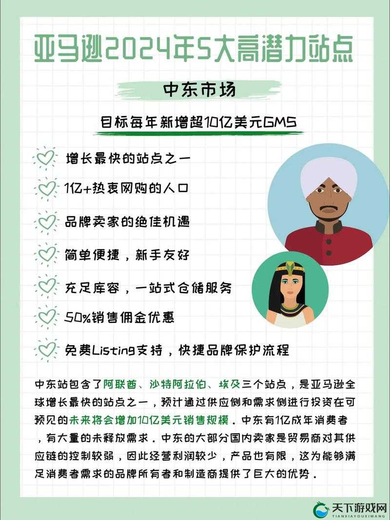 粗糙AMAZON 欧洲站和日本站：跨境电商的潜力与挑战
