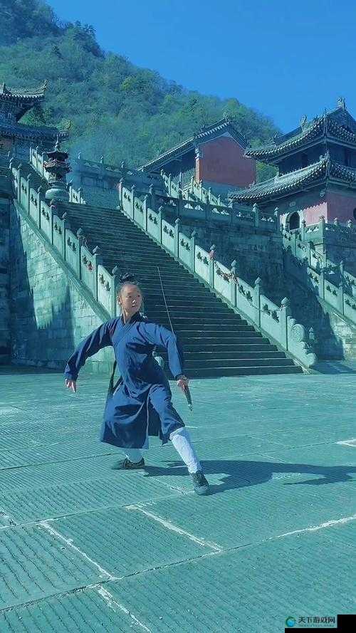 武当派，武林中的瑰宝与传承