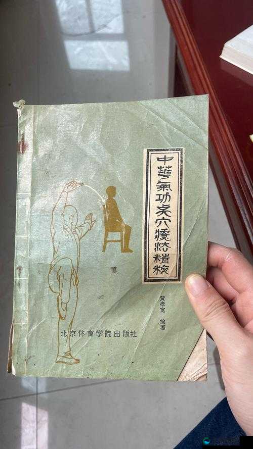 衡山派传家宝，武林中的瑰宝与传承