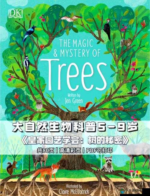 关键词，森林的奥秘与探索