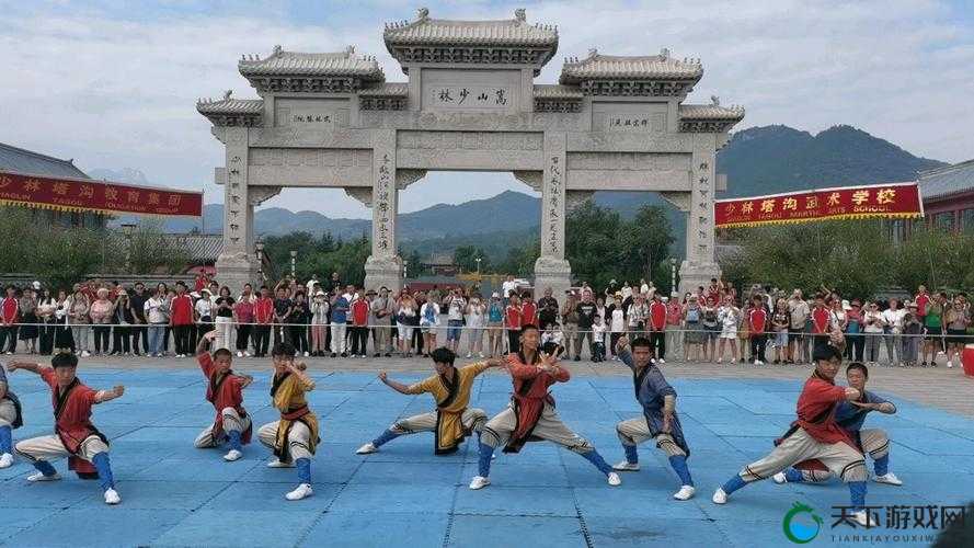 嵩山派，武林中的瑰宝与传承