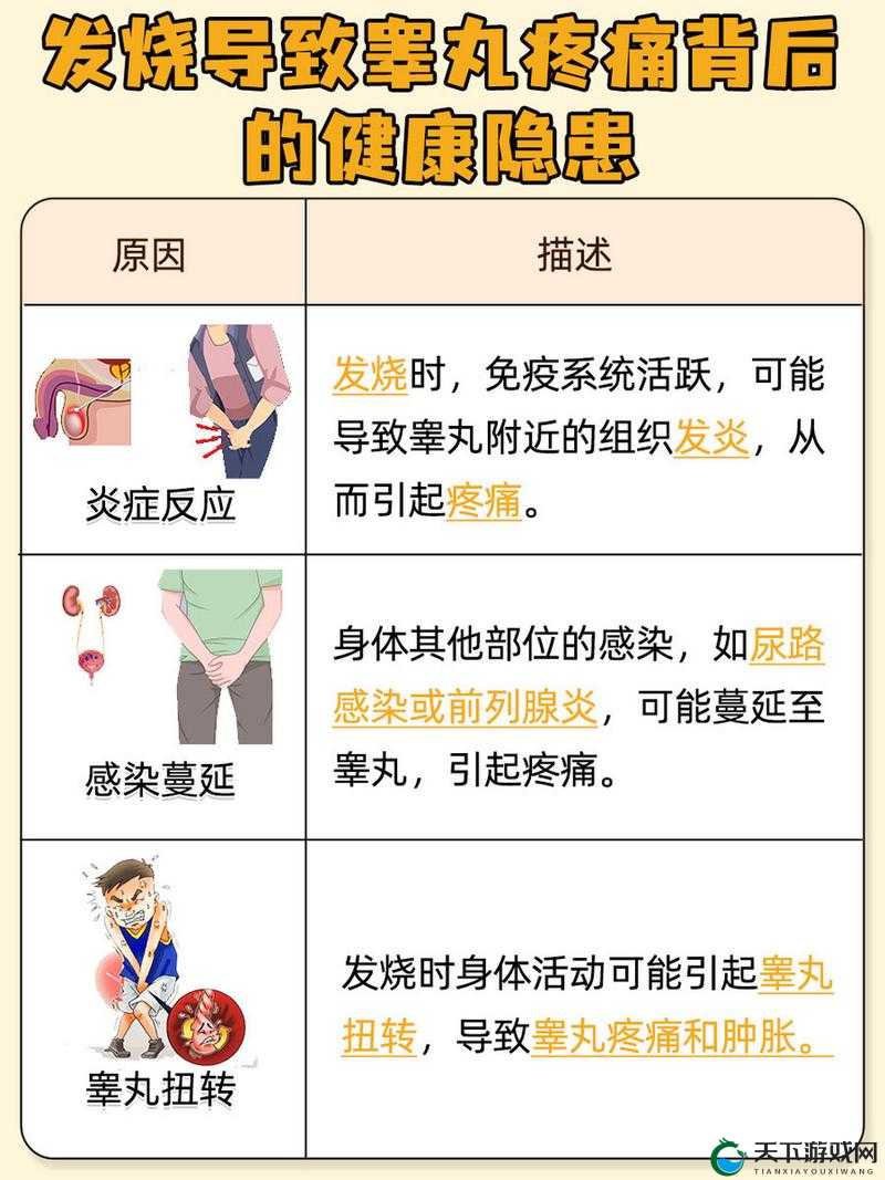 男生一边蛋蛋疼是怎么回事？常见原因、症状及应对方法全解析