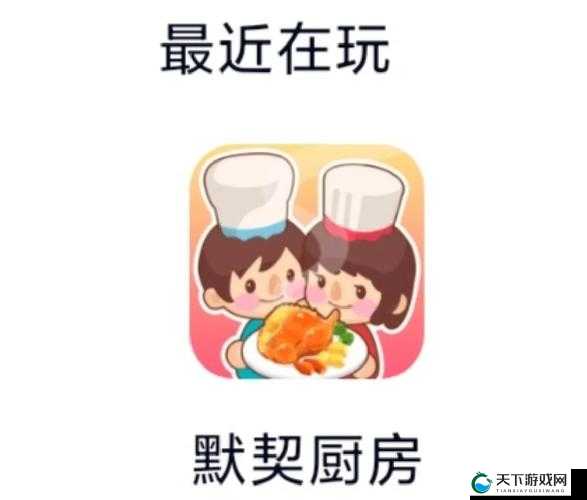 疯狂厨房双人模式玩法全解析：如何与搭档默契配合，轻松通关秘籍大公开