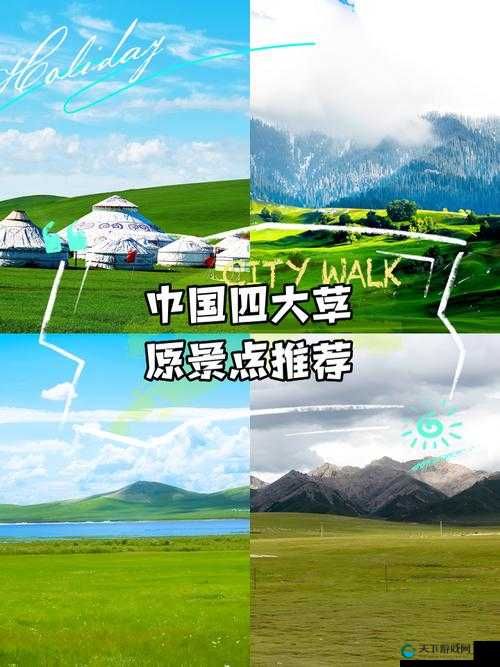 青青草原国的神秘文化与自然景观探秘：为何成为旅游爱好者的新宠？