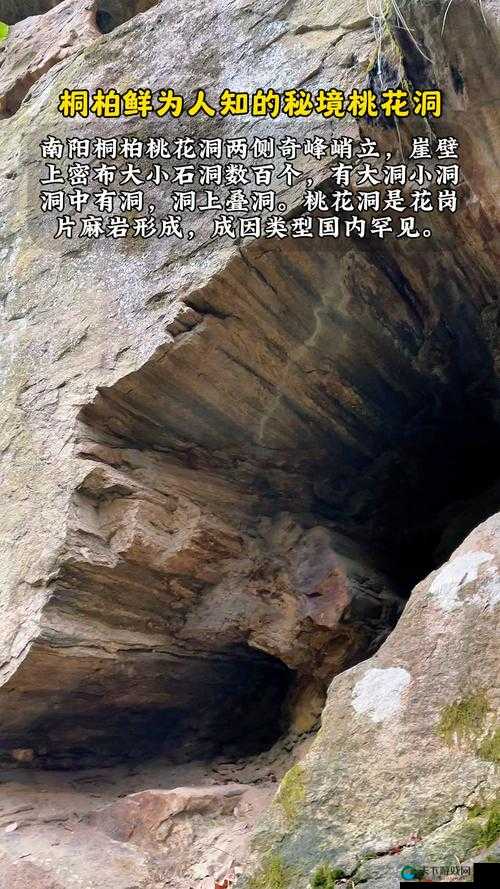 探秘桃花洞口：已是溪水潺潺的自然奇观与神秘传说