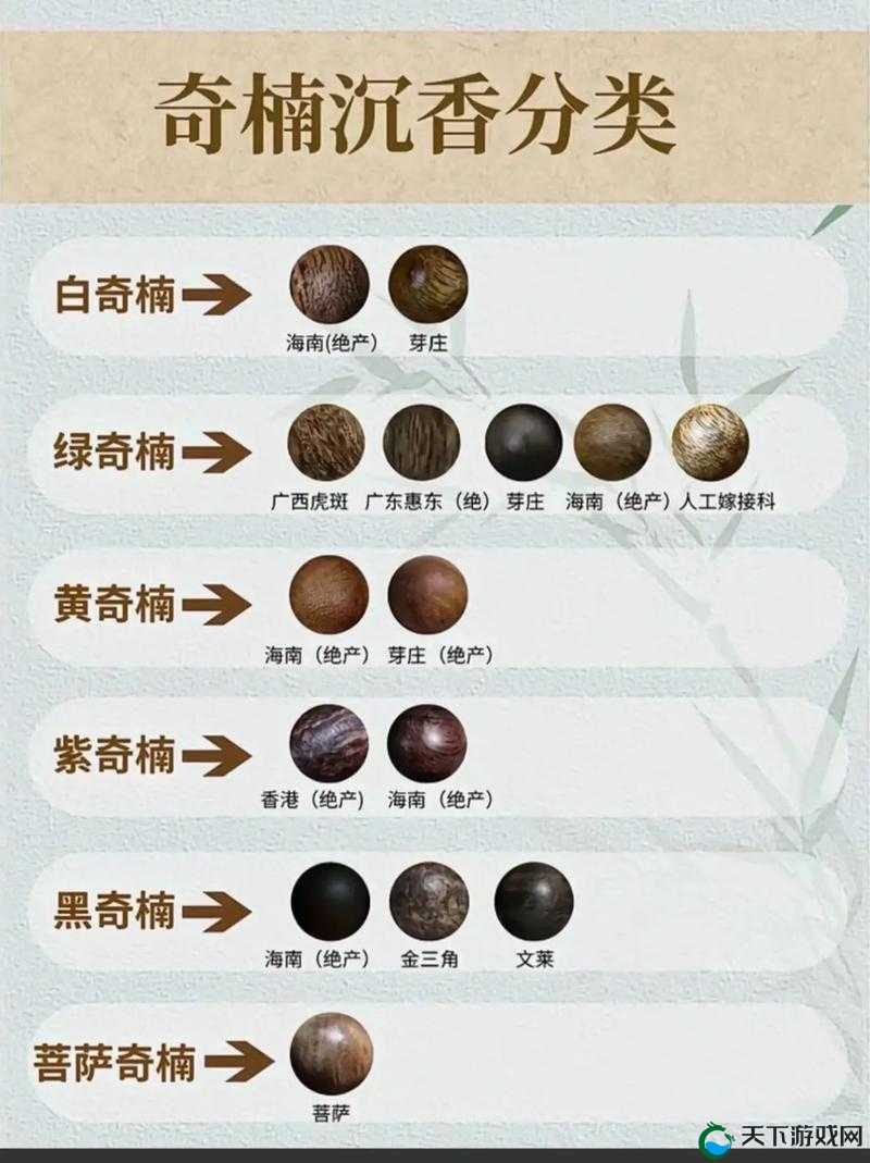 沉香产区是否有一线二线之分？揭秘不同产区沉香的品质与价值差异