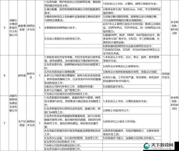 混乱小镇公交车售票员招聘条件详解：职位要求、薪资待遇及应聘流程全解析
