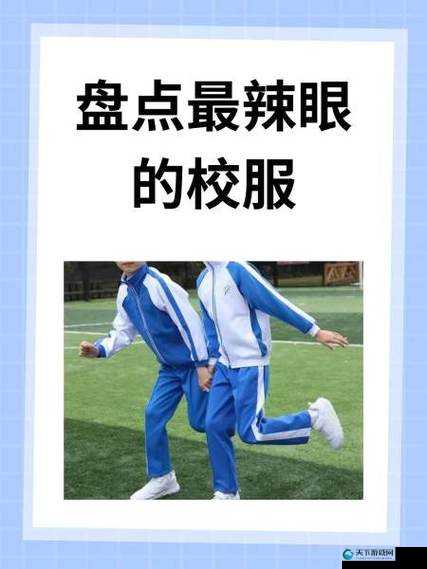 校服衣袖上意外发现葡萄图案，背后隐藏的校园文化故事揭秘