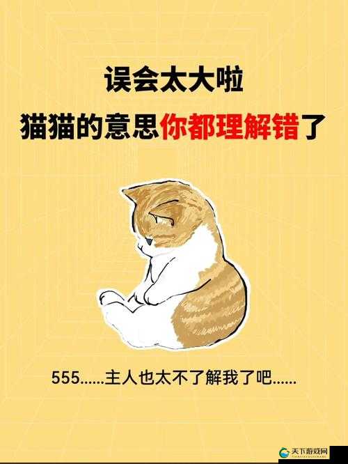 主人错了别打我了：如何正确处理宠物与主人之间的误解与冲突