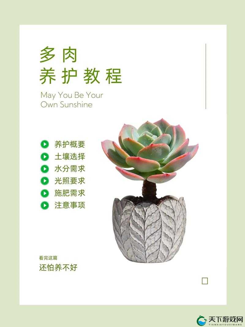 皇家共享小公主多肉养护方法：如何让你的多肉植物健康茁壮成长？