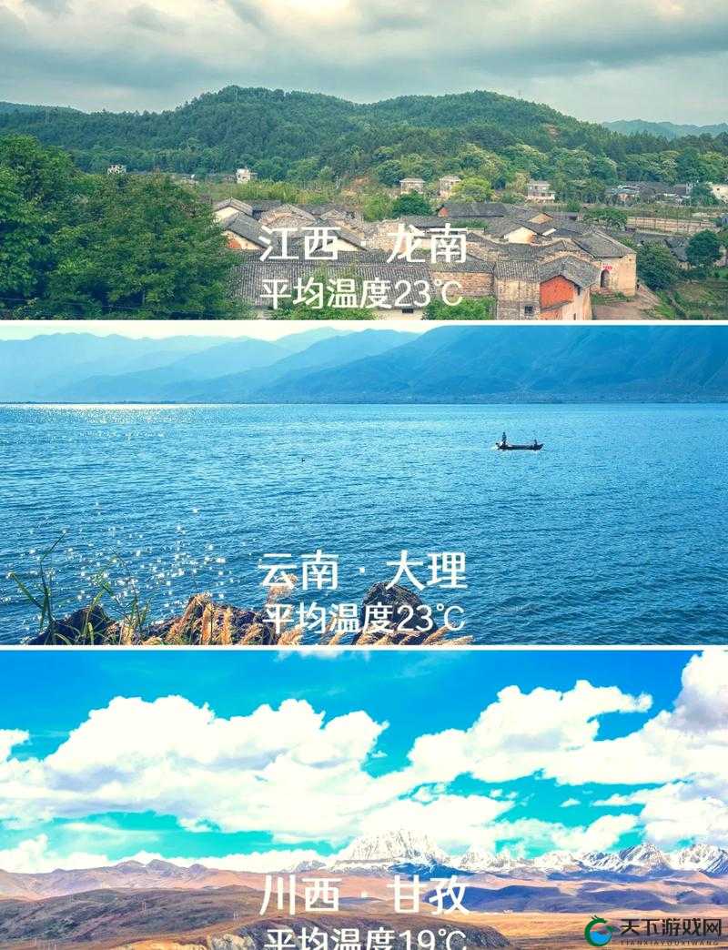 伊春园2024入口直达大象亲子温馨家庭游：探索自然与亲情的完美结合