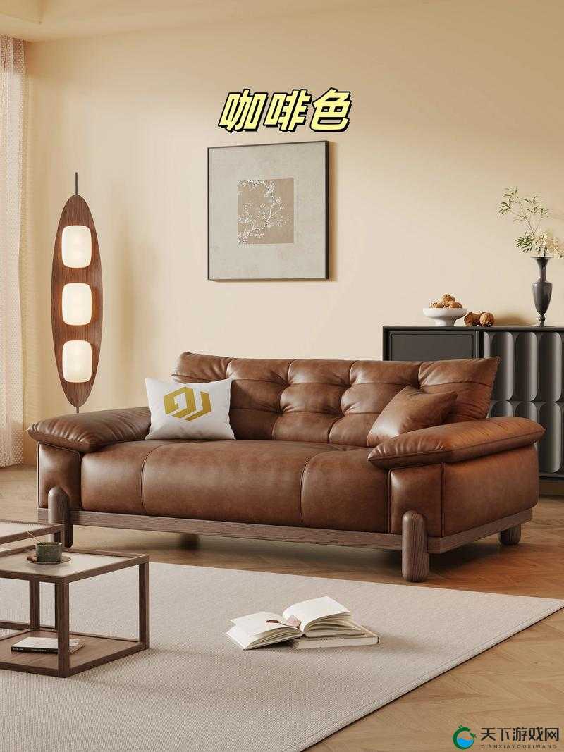 探索国产精品沙发系列：高品质家居生活的首选，打造舒适与时尚的完美结合
