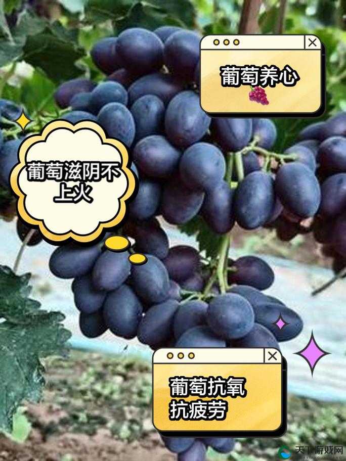 揭秘大白兔上的两颗葡萄：背后的故事与独特魅力解析