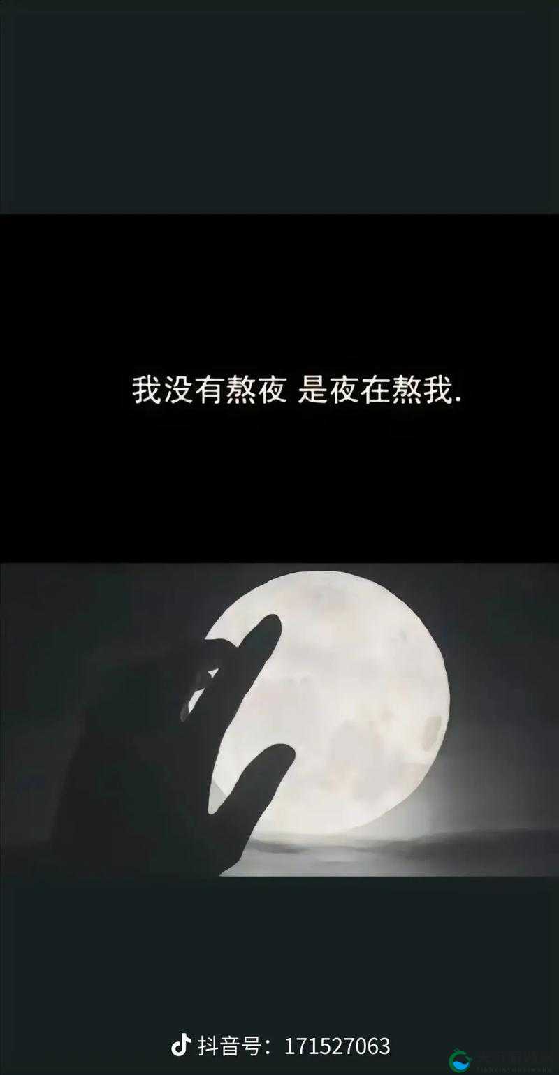 晚上一个人看的亏亏:孤独夜晚的深度思考与情感共鸣