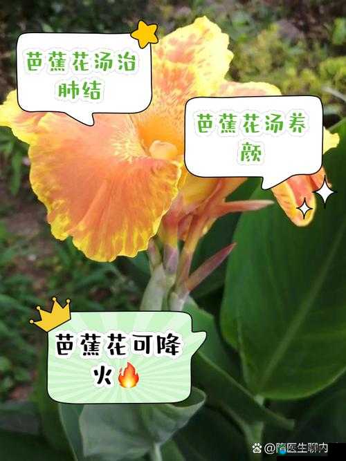 两个人吃花背后的故事：探索这种独特饮食习惯的健康与文化意义