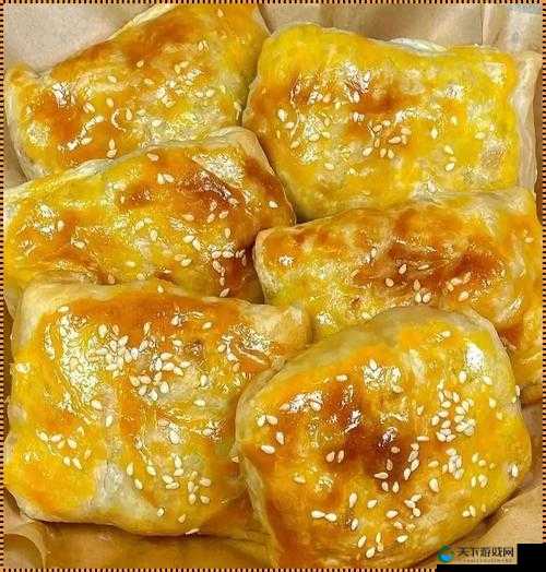 萧氏四兄弟的美酥肉饼96：好吃不贵，网友热推的美味选择，你尝过了吗？