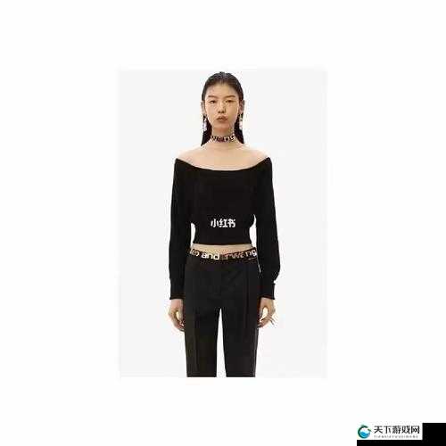 ALEXANDERWANG妈妈评测：真实体验分享，看看这款产品是否值得入手？