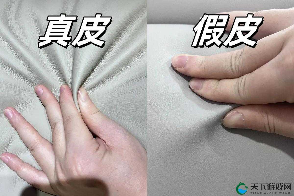 如何辨别AAAA 级毛皮的三大关键标志?详细解析与选购指南