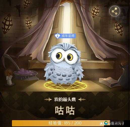 哈利波特魔法觉醒，猫头鹰获取途径全揭秘