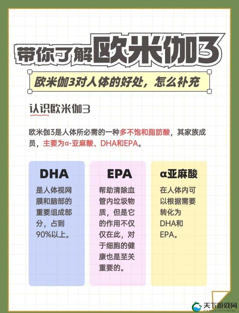 探索家族共享OMEGA的独特魅力:如何实现高效资源分配与家族成员间的深度协作?