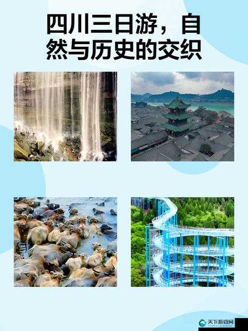 探索四川BWBWBW的独特魅力:历史、文化与自然风光的完美融合