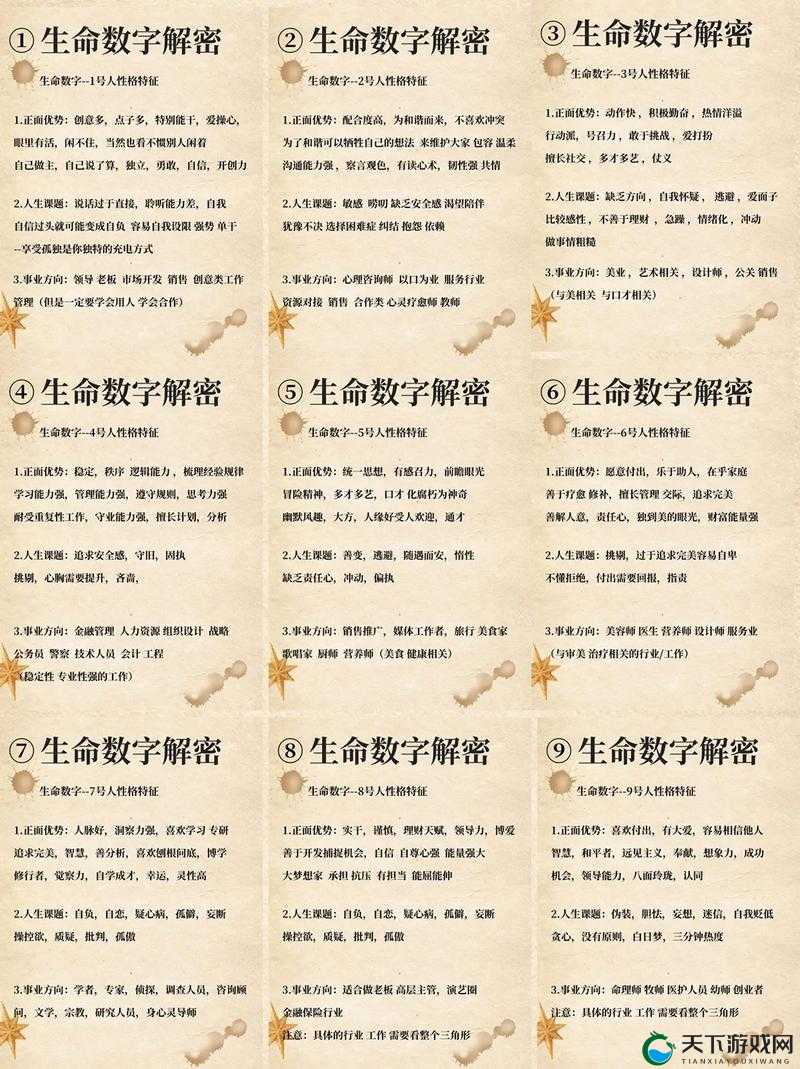 探秘关键词，数字时代的文化密码
