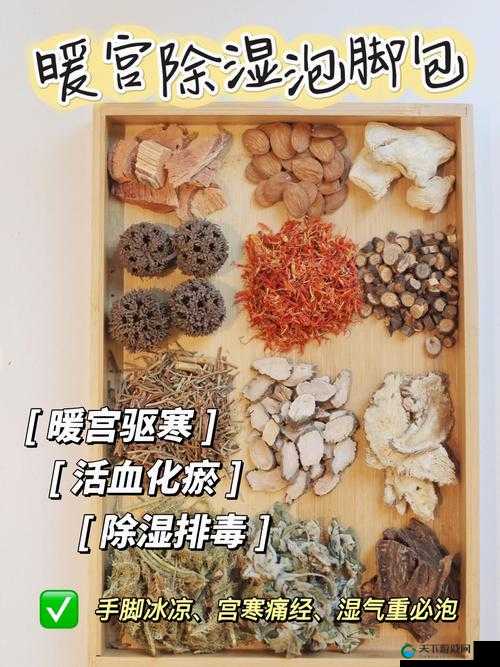 老中医用嘴排阴蝳真的有效吗？揭秘传统中医疗法的真相与科学依据