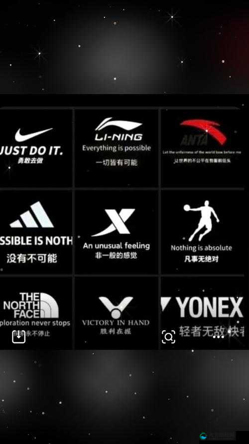 探索NIKE官网源码设计，1688免费资源助力打造专业运动品牌网站，提升用户体验与品牌影响力