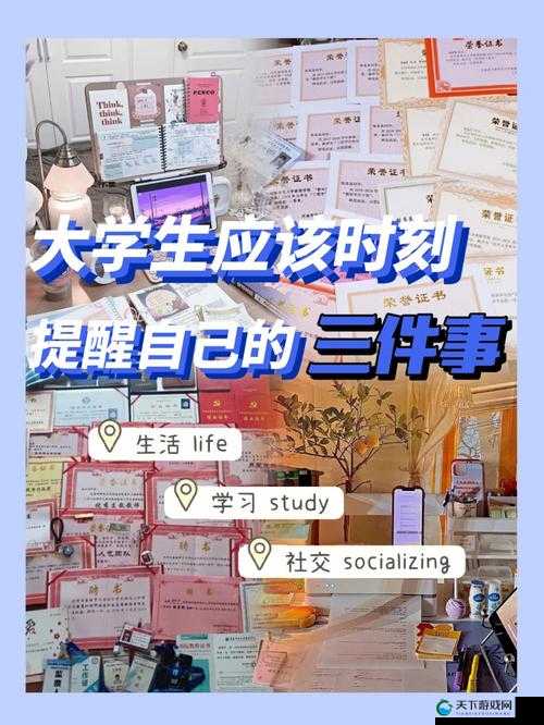 大学生活如何规划?从学习、社交到实习的全方位指南,助你高效度过大学时光