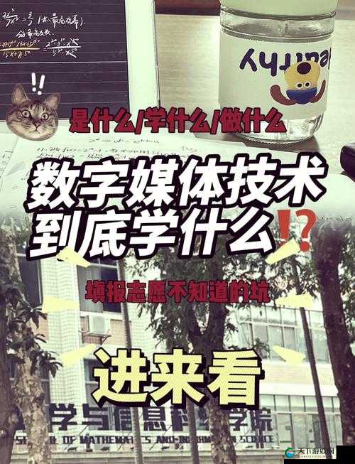 探秘关键词的无限可能