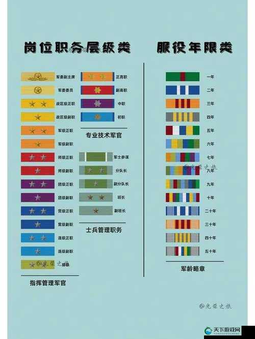 军衔系统火鸡英雄传重要的等级标志