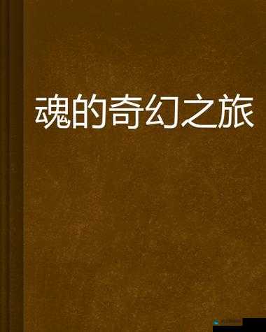 魂之幻影,秘境探索的奇幻之旅
