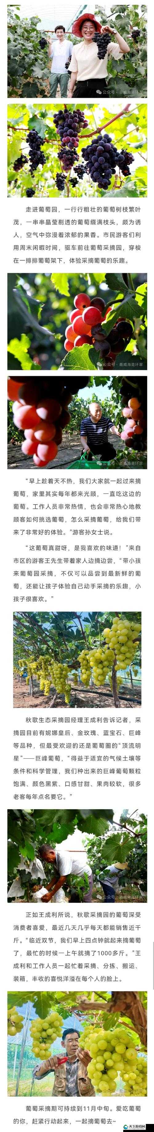 秋果熟 采摘乐熹妃传御果园玩法解析