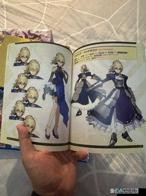 FGO40ap本与5ap本对比解析及团子收益探讨