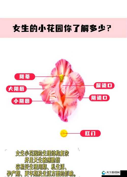如何进行自我安抚小花园？探索有效的方法与技巧，赶紧来看