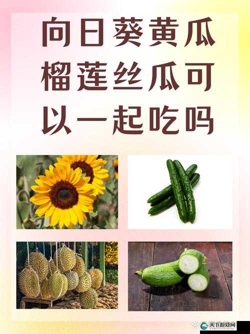 向日葵、黄瓜、榴莲、丝瓜究竟能不能一起吃？快来了解一下
