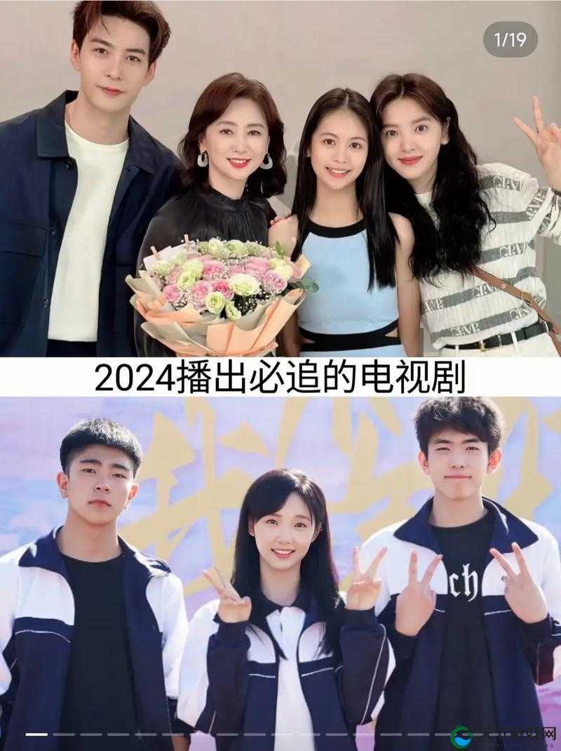 808影视电视剧免费看全攻略：最新热门剧集在线观看指南，轻松追剧无压力