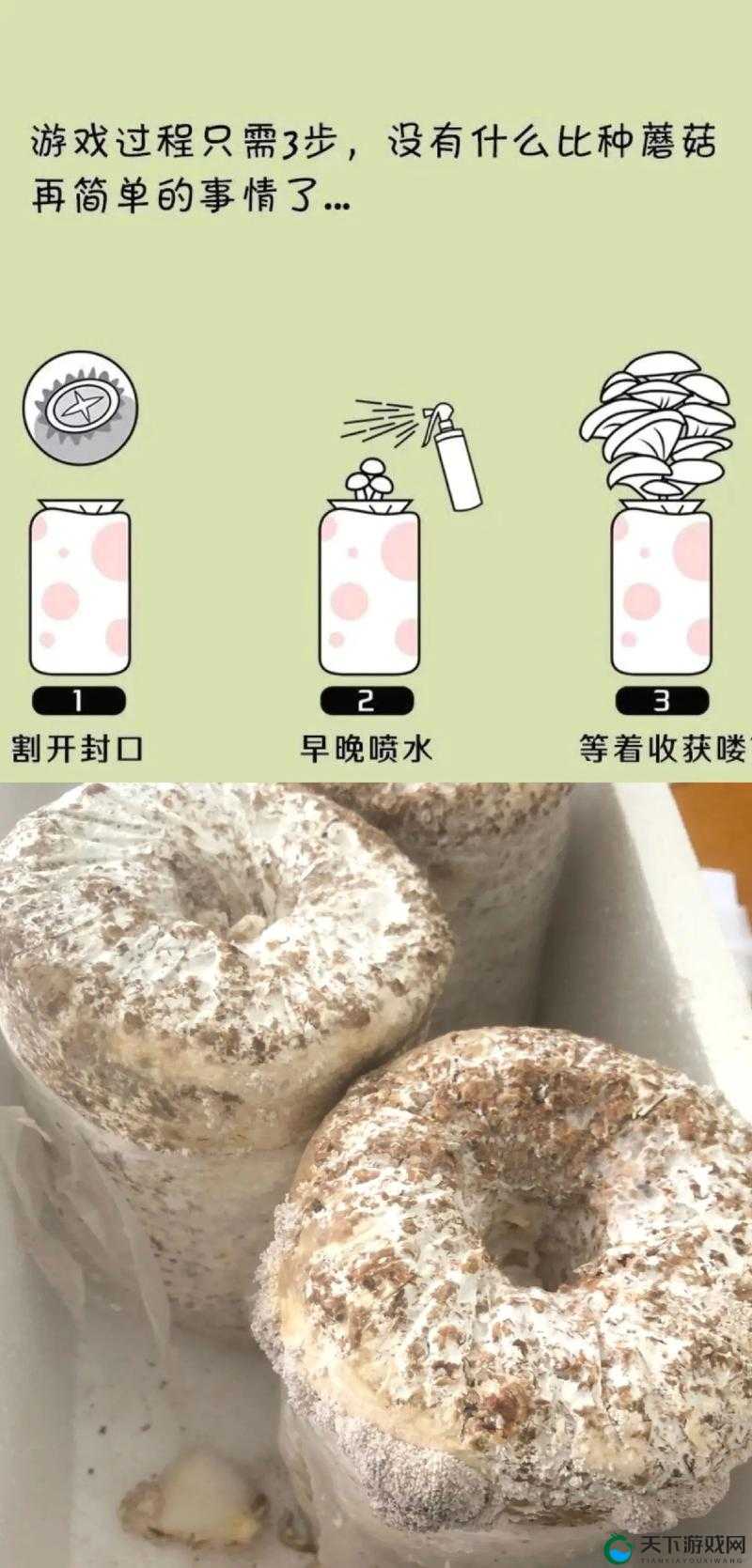 探索7x7x7x7x任意槽蘑菇的神奇功效与种植技巧，揭秘其健康益处与独特魅力