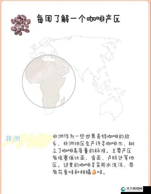 99 精产国品一二三产区 MBA：探索不同产区的独特魅力