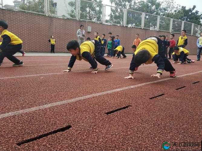 钶钶钶钶钶钶钶免是什么？为何它引起广泛关注？探秘其背后的故事