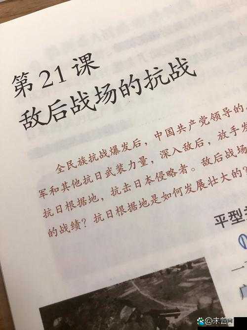 战争时刻敌军来袭，深度解析与实战策略