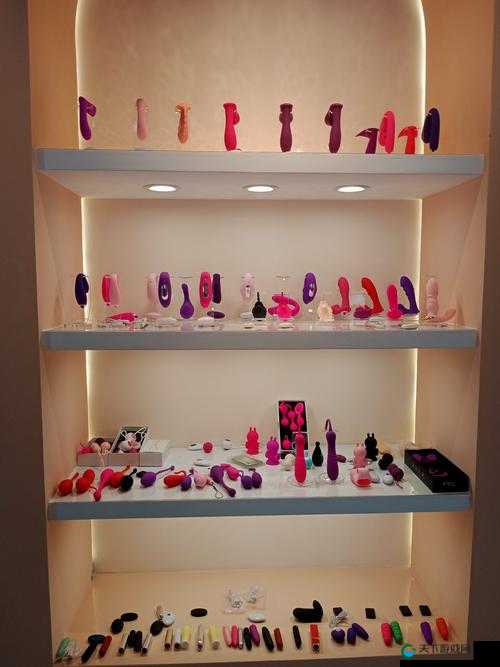 少妇和她的秘密玩具：探索未知的高潮世界