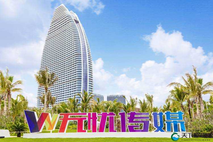 无忧传媒:短视频领域的传奇,如何打造辉煌成果?